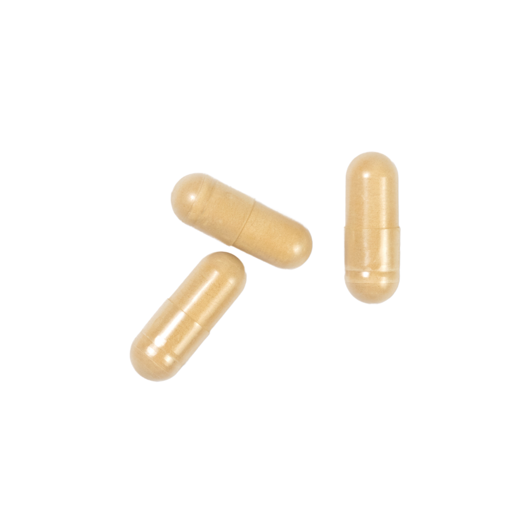 Reishi Mushroom 1000mg - Immune Support & Stress Relief